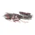 I39413B Turbochef