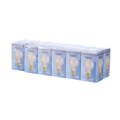 801-3989 - LIGHT BULB KIT, 12PK, 40W 250V