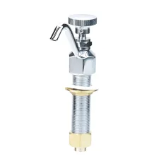T&S BRASS - B-2282 - DIPPERWELL