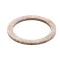 Champion - Moyer Diebel 901125 KIT, REPLACEMENT BLUE HOSE, 8FT
