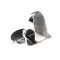 Hobart 00-295669 Hopper Assembly, 5LB