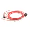 Vulcan Hart 00-427854-000G1 Wire Harness, Solid State, Gas