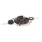 Lancer 1000424-BP25 SS ELBOW 1/4 SWIVEL NUT X 1/4