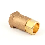 Vulcan Hart 00-833238 Vacuum Breaker Check Valve, 1/2"