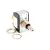 00-875567 Hobart