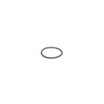Hobart 00-891398 RING, O, FAN NUT
