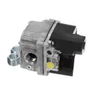 Baxter 00-913102-00169 Combination Gas Valve