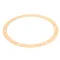 Red Goat 00-975805 Gasket, Sizing Ring, A- Series