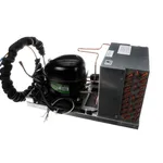 Delfield 000-BN5-0032-S ASSEMBLY, 1/3 HP COND UNIT AX