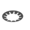 Bizerba 000000050001690000 CUP SPRING/WASHER