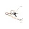 Multiplex 000003932 Thermal Expansion Valve Kit, Single, MOD 50