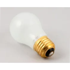 Lincoln 000378SP LAMP 240V 40W COATED