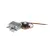 000710SP Lincoln