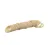 001022-45M25 T&S Brass