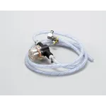 Antunes 0010584 INLET HOSE ASSY-STD.