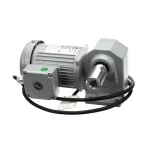 Follett 00110031 Auger Motor, 1/4HP, 3 Phase, 25 to 1 Ratio