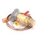 Follett 00130997 Thermo Expansion Valve, 975