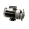 CMA Dish Machines 00200.00 PUMP ASSEMBLY 115/220V 60HZ (CLOSE