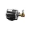 Multiplex 00214102 Pump/Motor Assembly, 120V, 70Gph