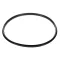 Pitco 60068303 O-Ring, PTFE, 3" x 3.25", White