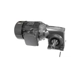 JBT 005617345 Gear Motor, 230/460 Volt, 50/60HZ