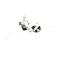 Follett 00957944 Solenoid Valve, Water Option, 7 Series