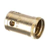TS9615-40 T&S Brass
