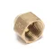 Bunn 00976.0000 CAP NUT, .375 FLARE-45 BRASS