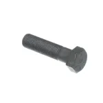 30900-10 Lang