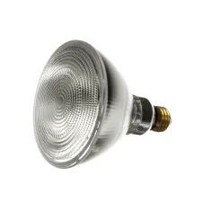 Baxter 01-1000V7-00020 Halogen Flood Light, 90W