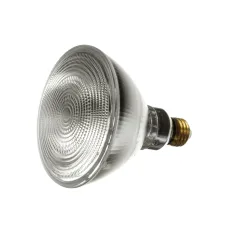 Baxter 01-1000V7-00020 Halogen Flood Light, 90W