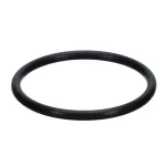 5127 Server Products - Neoprene O-ring for Discharge Tube