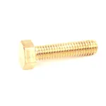 Berkel 01-400827-00028 Brass Screw