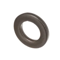 Berkel 01-40330M-00211 Washer, M6, Stainless Steel