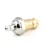 012394-25NS T&S Brass
