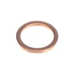 Grindmaster Cecilware 01321L VALVE GASKET BRASS ESP 220V SP