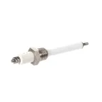 Water Level Electrode for Groen Part# Z014356