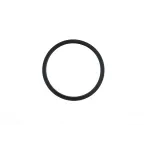 Taylor Freezers 021662 GASKET-DOOR 5.200"ID X 5.961OD
