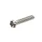 Waring 029842 Screw, Phillips, Power Pack, WSB