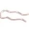 Bunn 03807.0000 Retaining Ring, Float Switch, Stainless Steel
