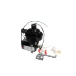 Sharp FFS-BA033WRKZ Interlock Switch And Fuse