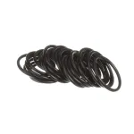 Taylor Freezers 041923-SER KIT-O-RING 25 TO BAG