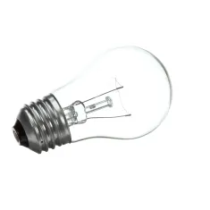 Blodgett 04342 Lamp, 120V, 40W