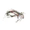 Grindmaster Cecilware 08.MP0010/115 WIRING