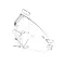 Lancer 05-2257/01 Chute, Upper, IC