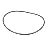 JBT Vibratory 053-12-0038-001 Belt, 1/4" Round X 28" Long, Dark Blue
