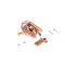 Delfield 3234639 CLIP,S/S SHELF SUPPORT