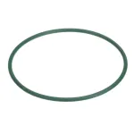 Taylor Freezers 062191-1 BELT-RD 3/16 GREEN