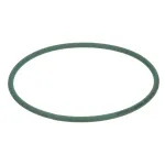 Taylor 062191-4 Agitator Belt