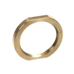 Electrolux Professional 066079 RING NUT